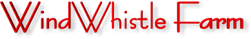 windwhistlebanner.gif (70584 bytes)